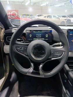 بي واي دي سيل 06 DM-i